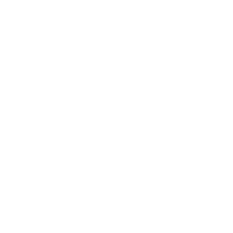 Conversion Champions