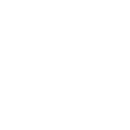 Emotional Connection